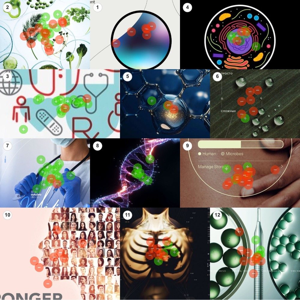 Board 1 heatmap, Medical and Holistic: green and red dot placement across twelve images