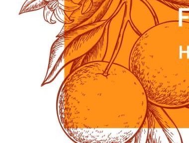 Line-drawn oranges in field-guide style
