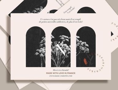 Small-format cream stationery set with arched windows and a botanical print