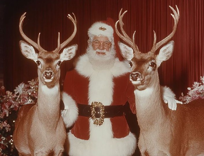 Santa posed between two stuffed deer in a studio